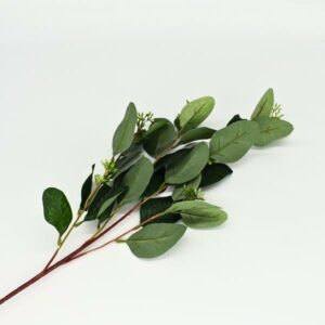 Eucalyptus Stem - Large