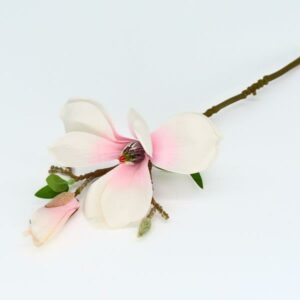 Faux Magnolia Liliiflora