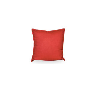 Red Scatter Cushion