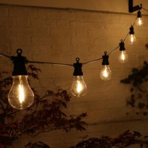 Festoon Lights